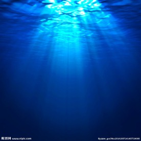 海底阳光