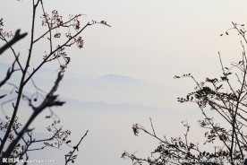 泰山云海