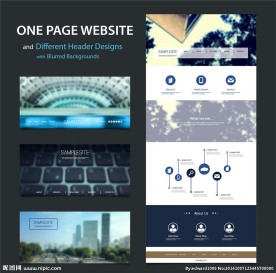 网站模板 网页设计