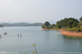 万绿湖 水月湾 景观 