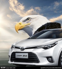 雷凌 汽车 海雕