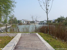 幽静小路