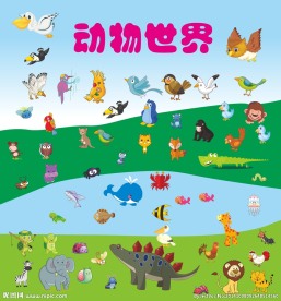 动物世界