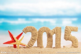 2015设计