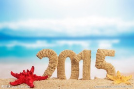 2015设计
