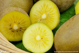 黄心 奇异果 猕猴桃