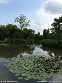 杭州西溪湿地
