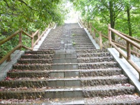 林园阶梯