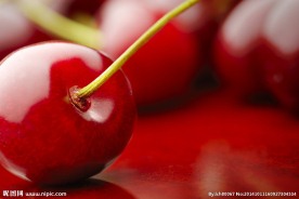 樱桃