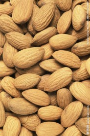 杏仁图片