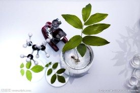生物研究