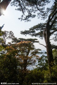 五指山