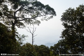五指山