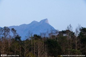 五指山