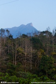 五指山