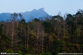 五指山