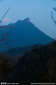 五指山