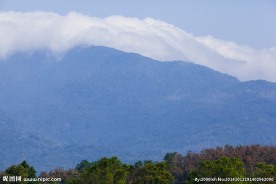五指山