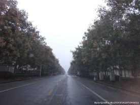 清晨 街道