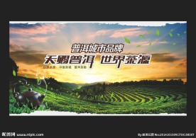 天赐普洱 世界茶源