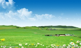奥林匹克公园绿地
