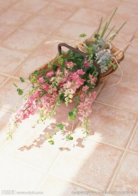 鲜花装饰
