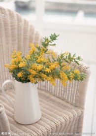 居家鲜花装饰