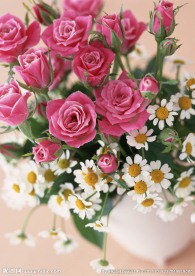 居家玫瑰鲜花