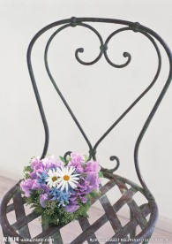 居家鲜花