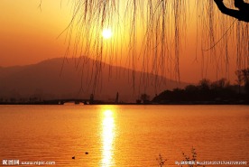 玄武湖 晨景 冬日暖阳