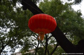 大红灯笼