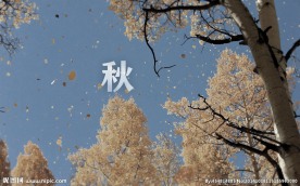 奥林匹克公园秋景