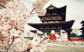 唯美日本