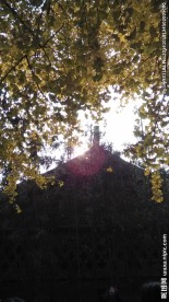一缕阳光