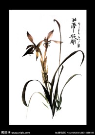 聚马凉石 书法 国画 