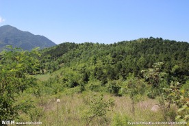 山林