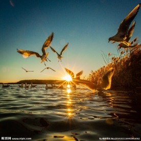 居延海日出日落