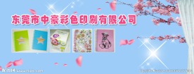 企业形象网络宣传广告