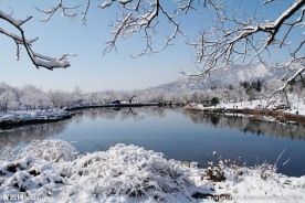 奥林匹克公园雪景