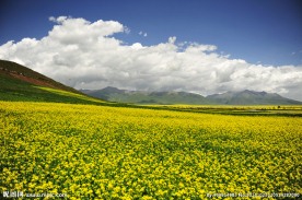唯美奥林匹克公园