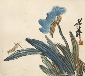 花虫 绘画