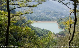 温州大罗山龙王水库