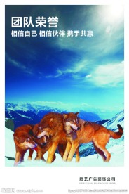 团队荣誉