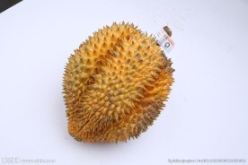 榴莲
