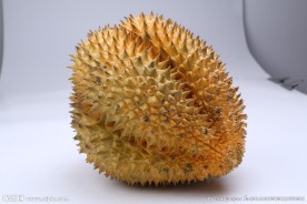 榴莲