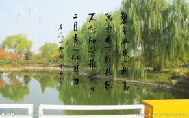 启功书法贺知章咏柳