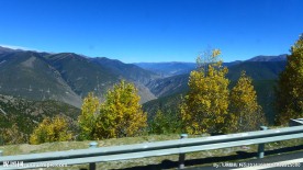亚丁景区公路两旁秋色