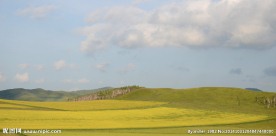 希望的田野