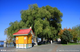 松花江畔风景