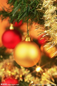 圣诞树上的彩球